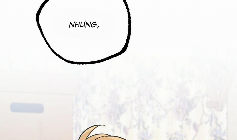 Đàn Thỏ Của Habibi 31 trang 38