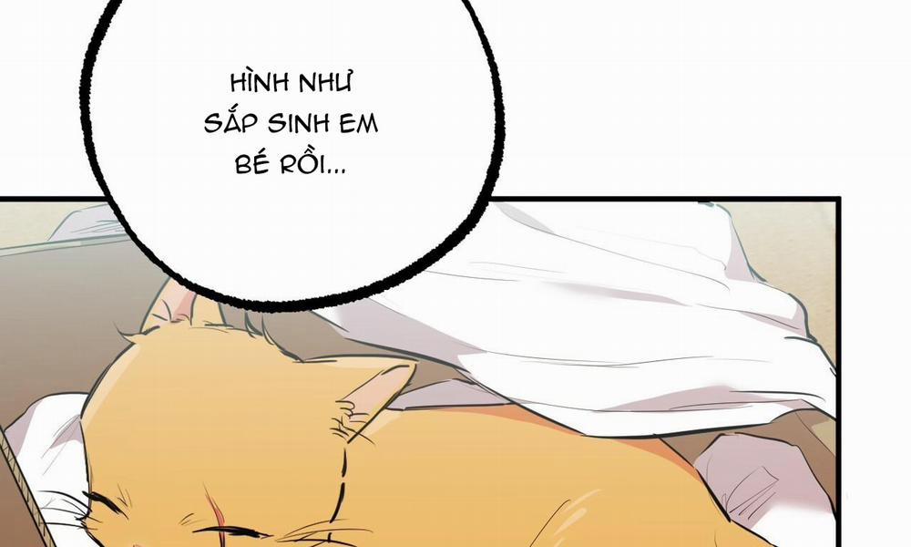 Đàn Thỏ Của Habibi 31 trang 58