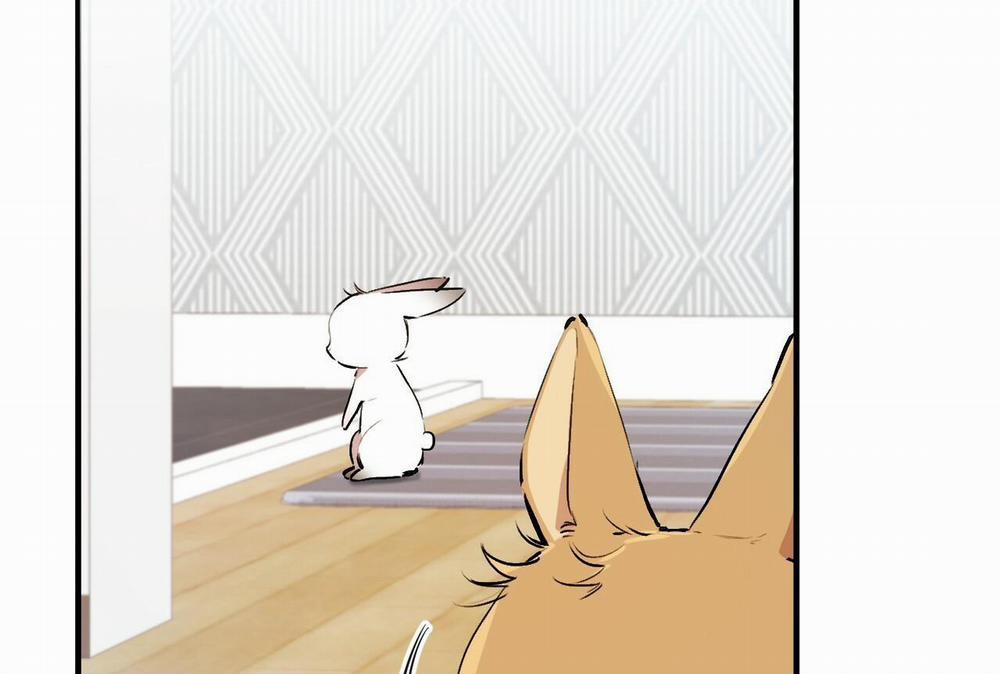 Đàn Thỏ Của Habibi 32 trang 119