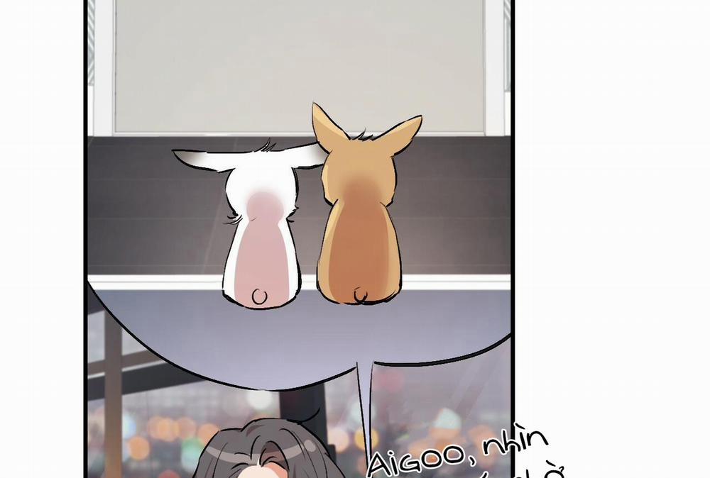 Đàn Thỏ Của Habibi 32 trang 128