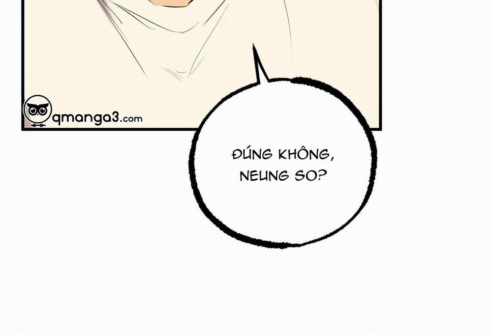 Đàn Thỏ Của Habibi 32 trang 13