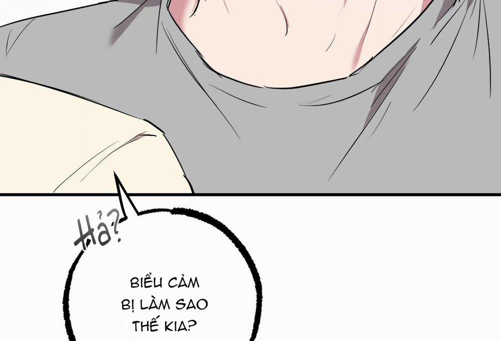 Đàn Thỏ Của Habibi 32 trang 16