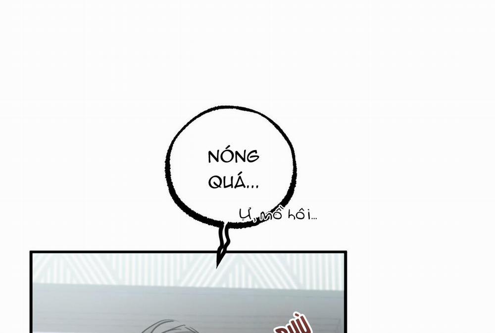 Đàn Thỏ Của Habibi 32 trang 193