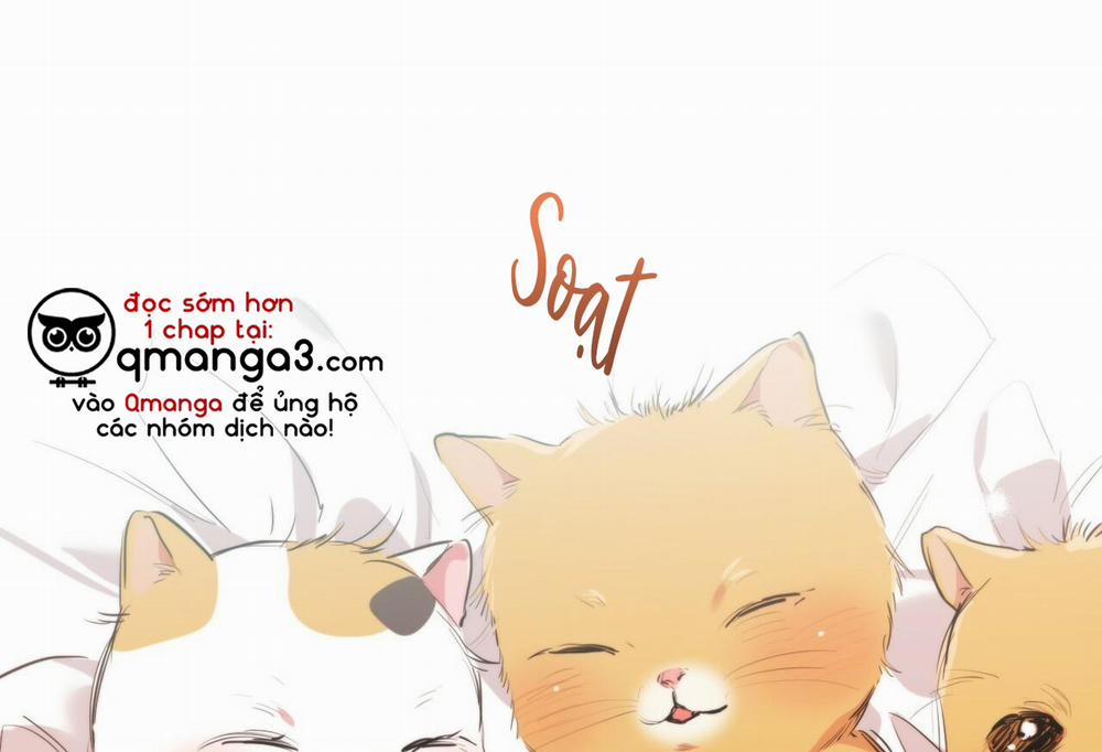 Đàn Thỏ Của Habibi 32 trang 2