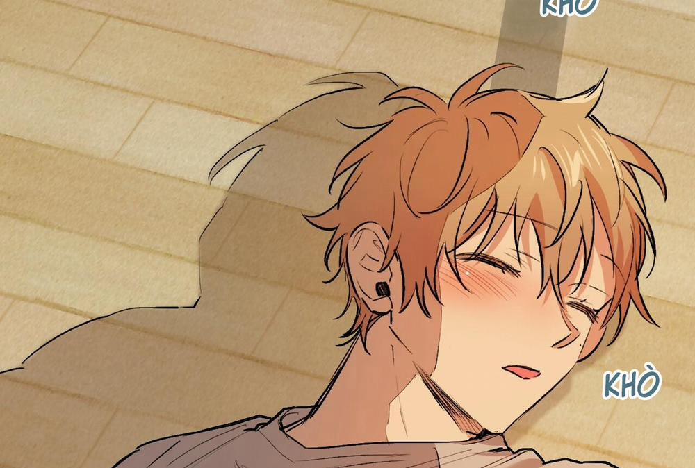 Đàn Thỏ Của Habibi 32 trang 200