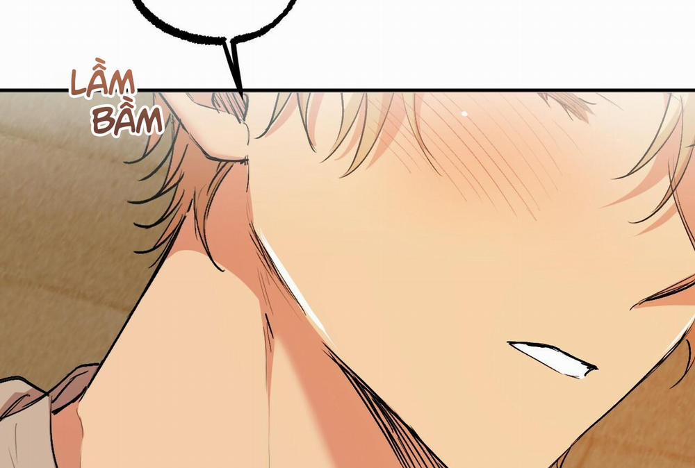 Đàn Thỏ Của Habibi 32 trang 206