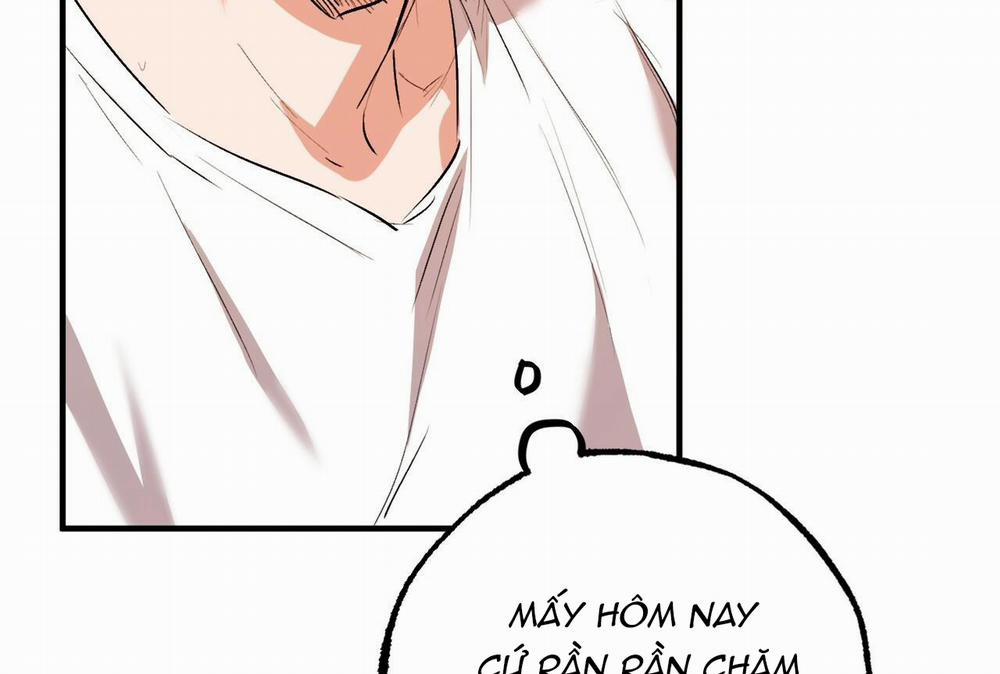 Đàn Thỏ Của Habibi 32 trang 209