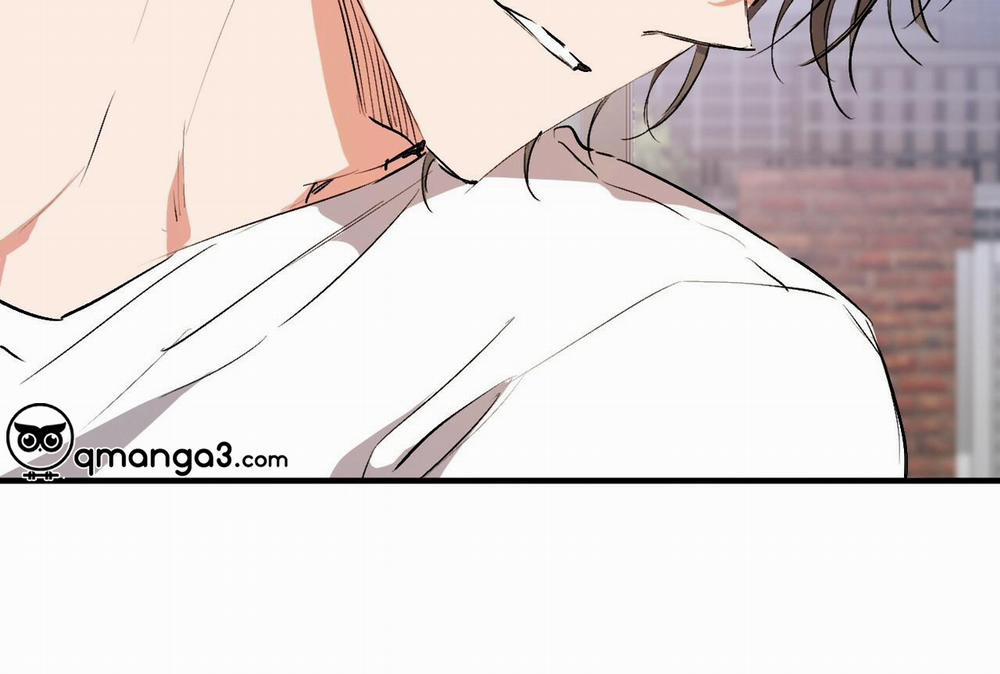 Đàn Thỏ Của Habibi 32 trang 215