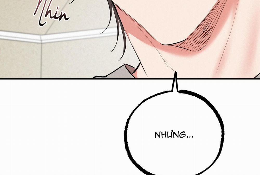 Đàn Thỏ Của Habibi 32 trang 27