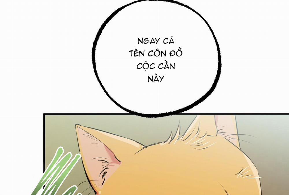 Đàn Thỏ Của Habibi 32 trang 29