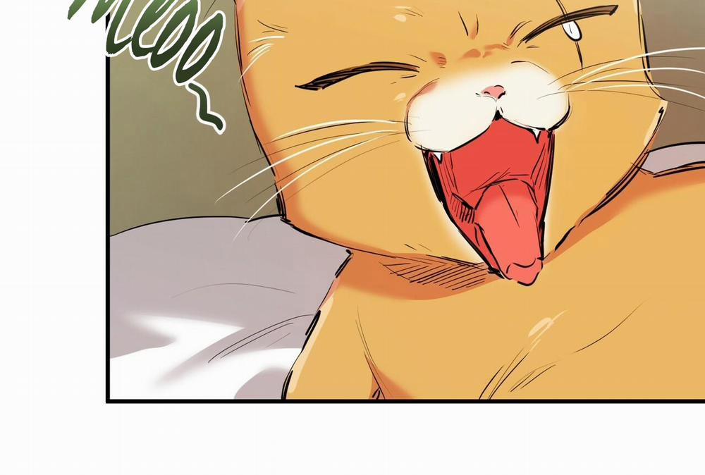 Đàn Thỏ Của Habibi 32 trang 30