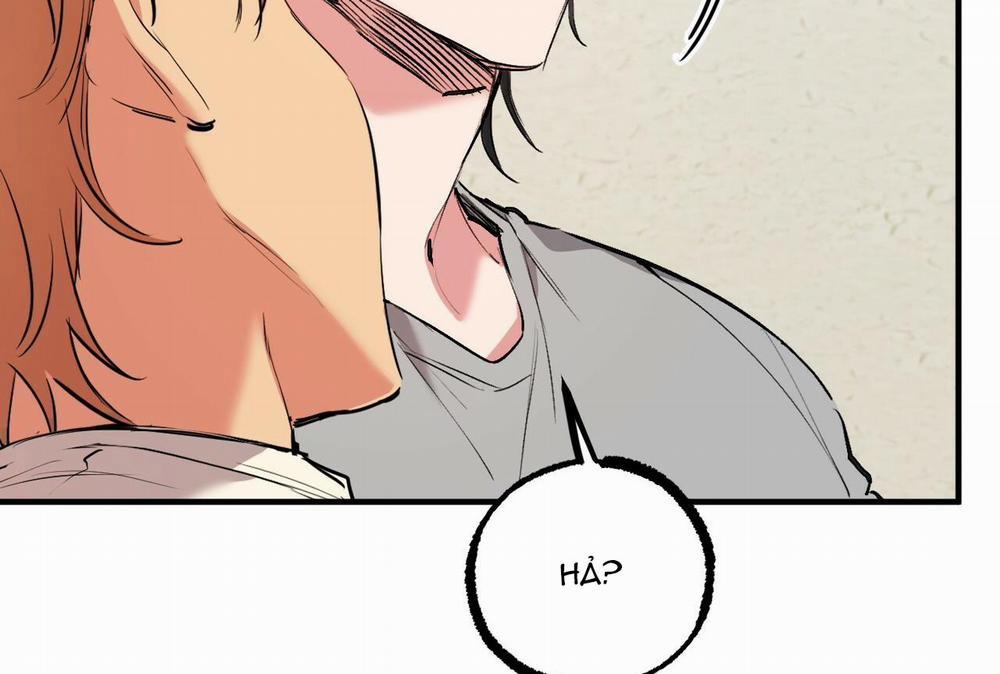 Đàn Thỏ Của Habibi 32 trang 41