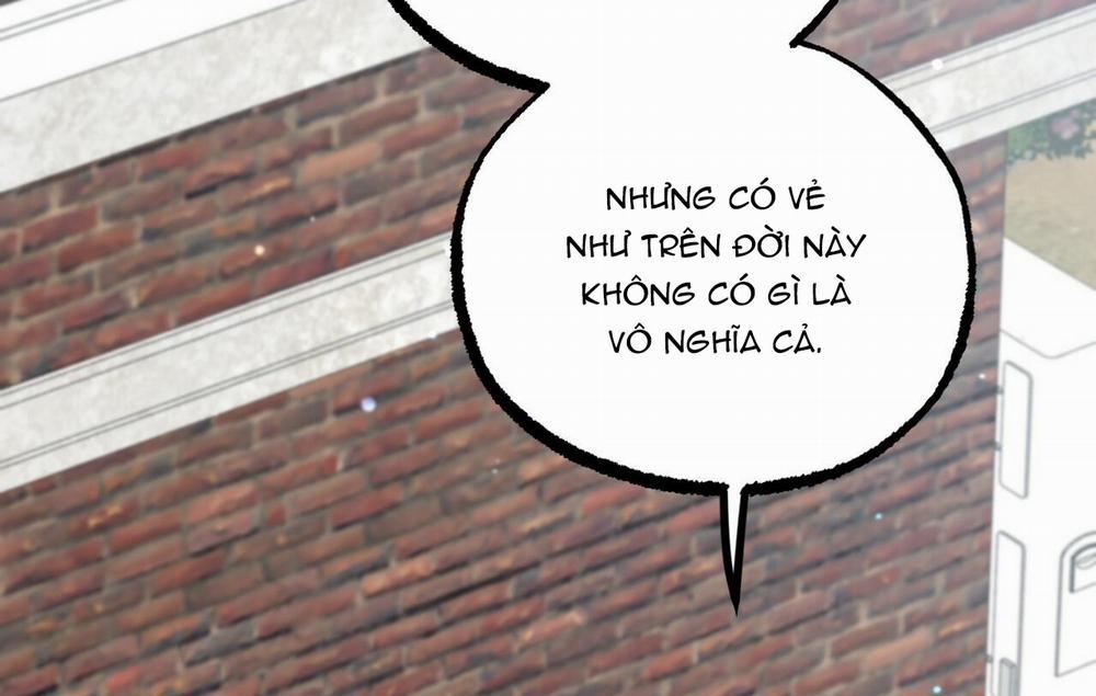 Đàn Thỏ Của Habibi 32 trang 59