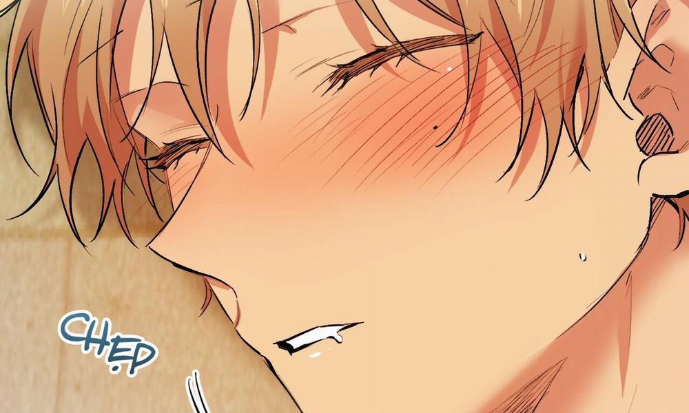 Đàn Thỏ Của Habibi 33 trang 10