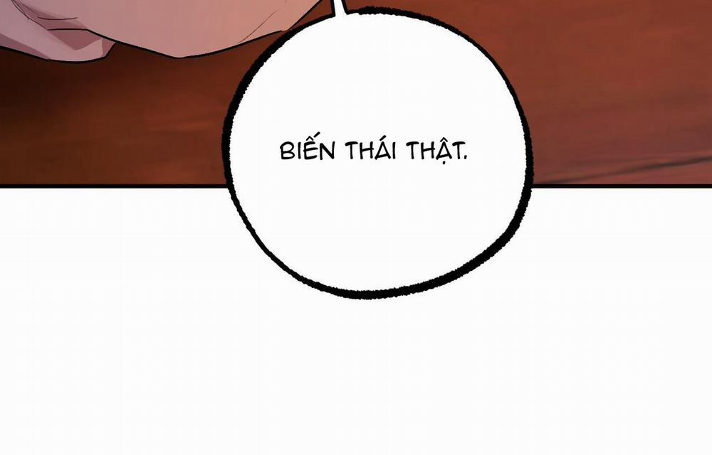 Đàn Thỏ Của Habibi 33 trang 117