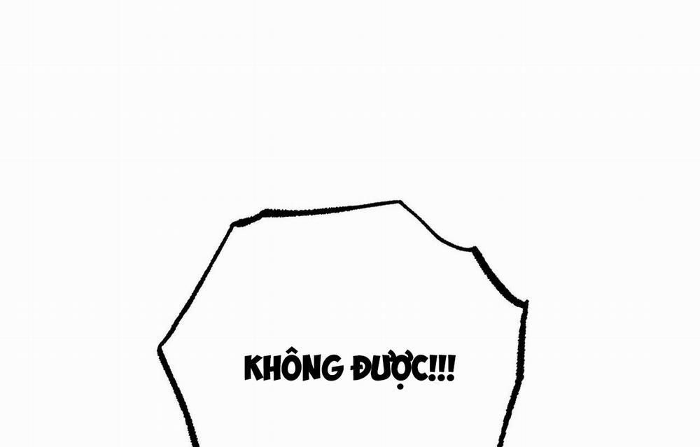 Đàn Thỏ Của Habibi 33 trang 121