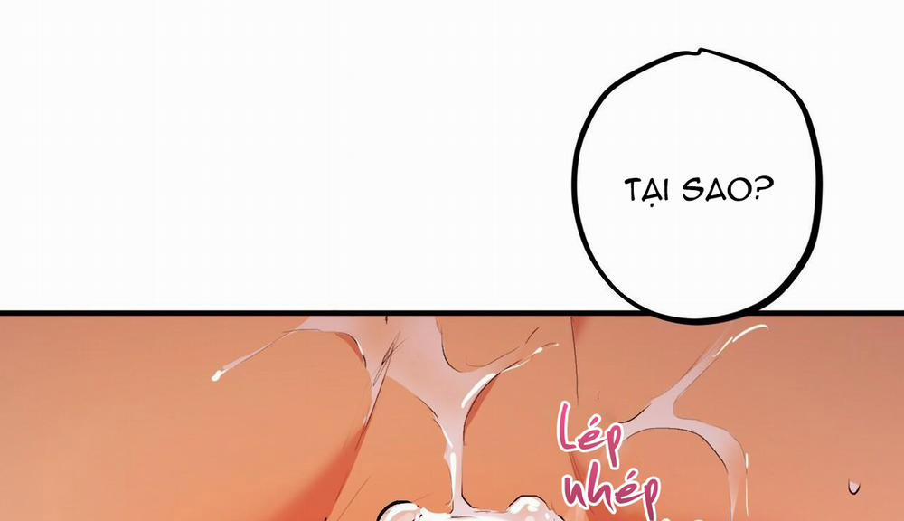 Đàn Thỏ Của Habibi 33 trang 127