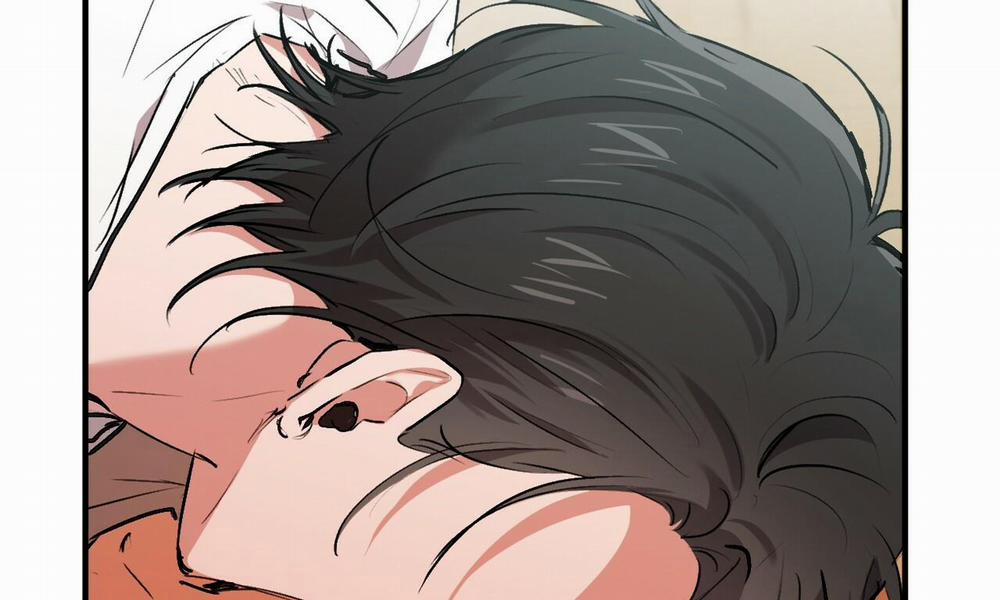 Đàn Thỏ Của Habibi 33 trang 13