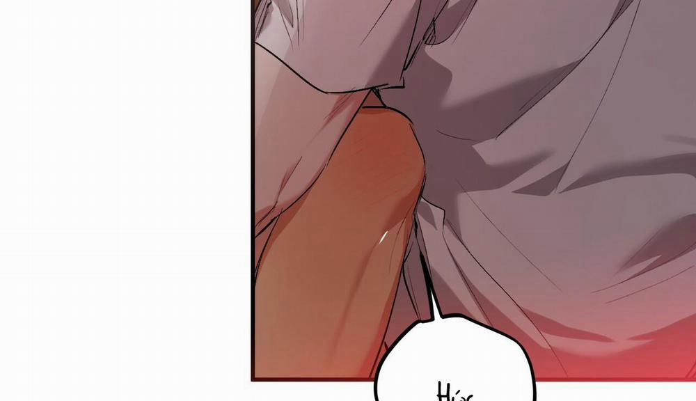 Đàn Thỏ Của Habibi 33 trang 138