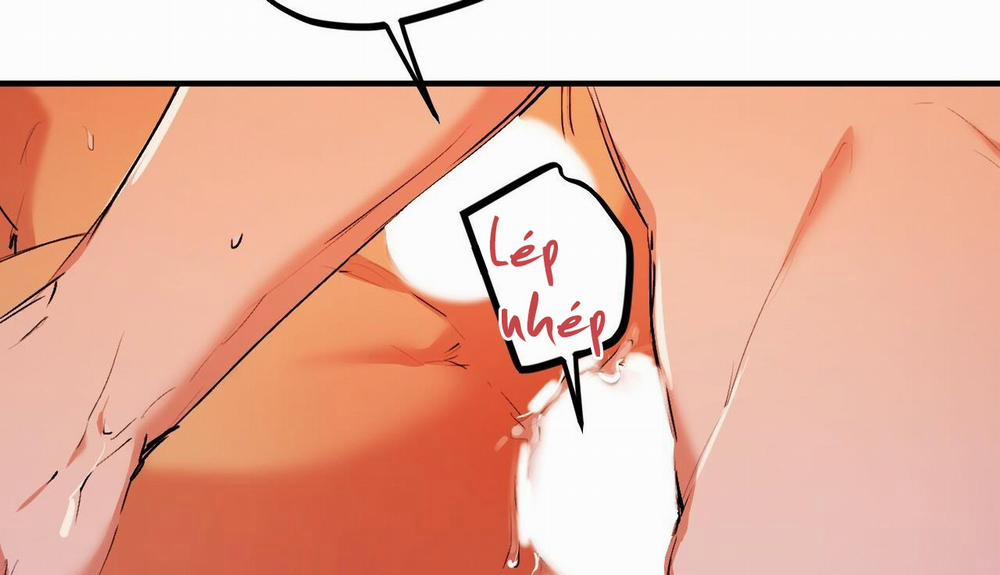 Đàn Thỏ Của Habibi 33 trang 141