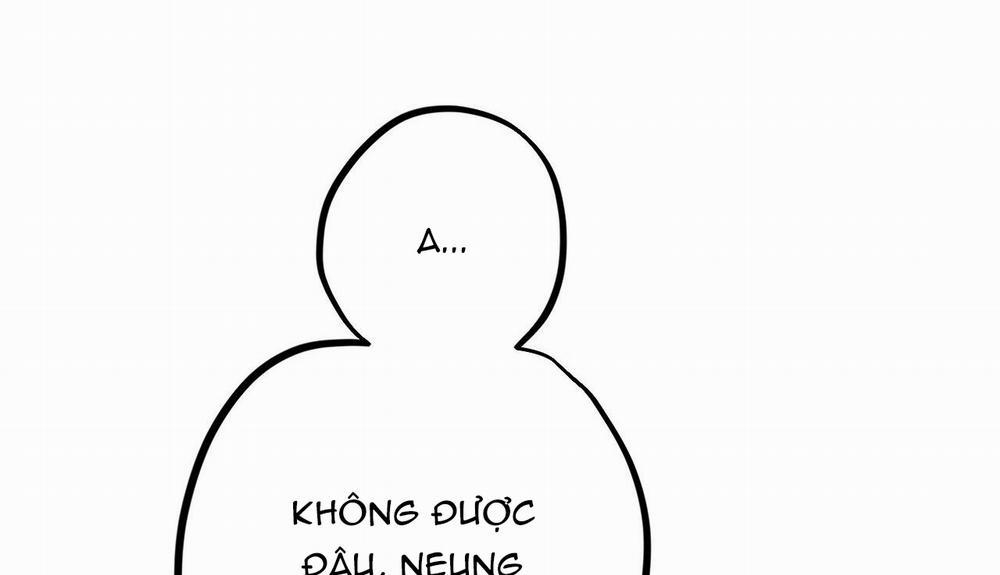 Đàn Thỏ Của Habibi 33 trang 148