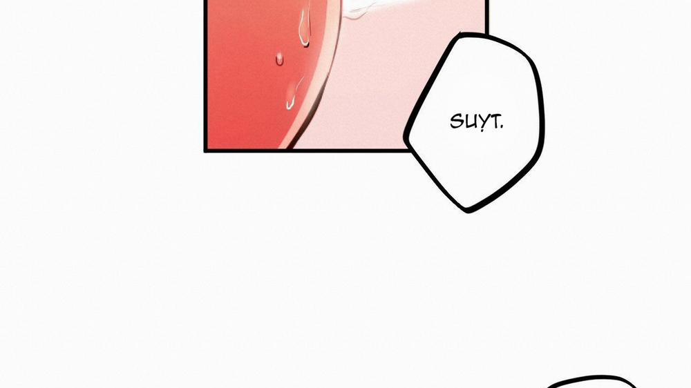 Đàn Thỏ Của Habibi 33 trang 166