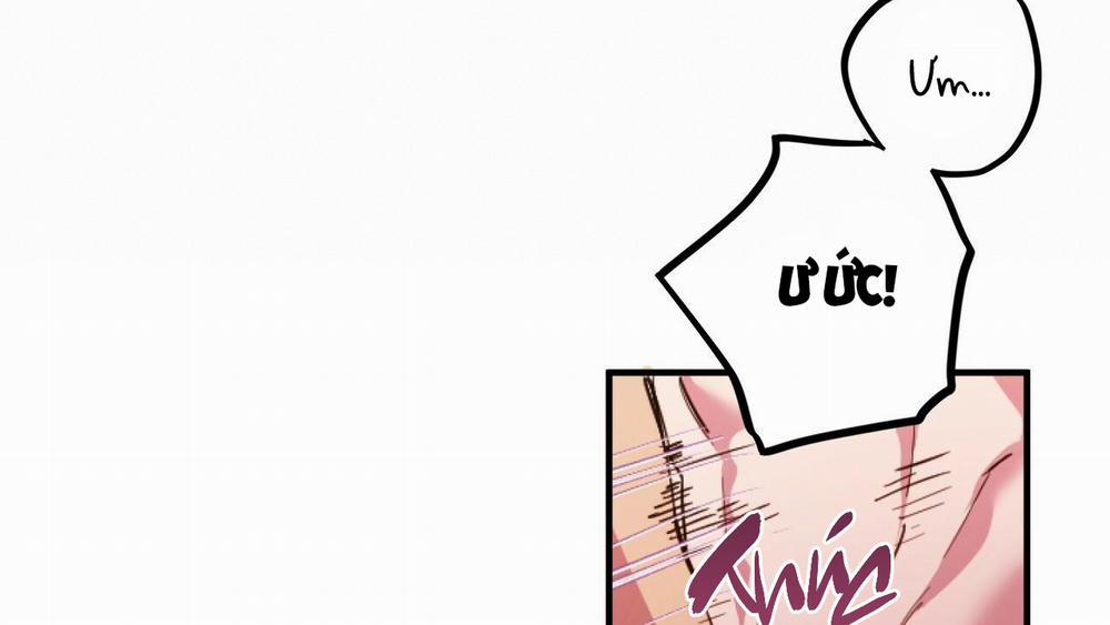 Đàn Thỏ Của Habibi 33 trang 167