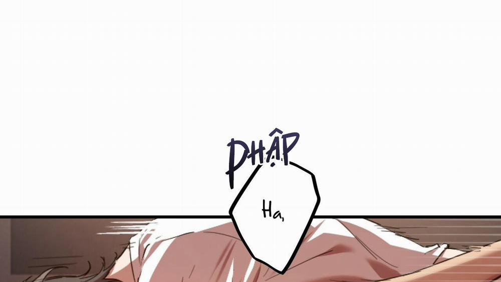 Đàn Thỏ Của Habibi 33 trang 170