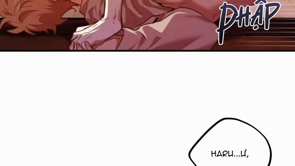 Đàn Thỏ Của Habibi 33 trang 172