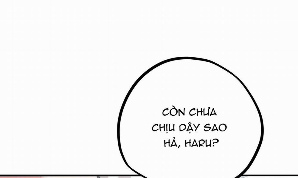 Đàn Thỏ Của Habibi 33 trang 19