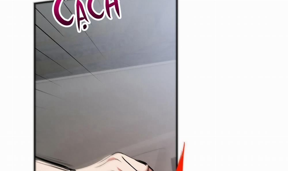 Đàn Thỏ Của Habibi 33 trang 219