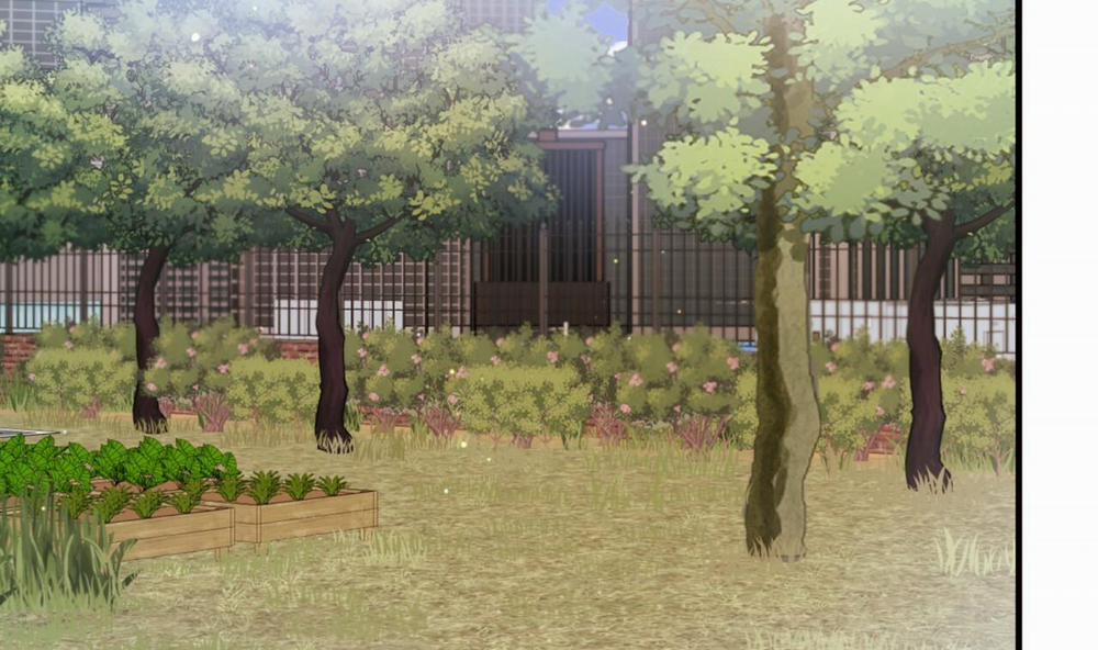 Đàn Thỏ Của Habibi 33 trang 241