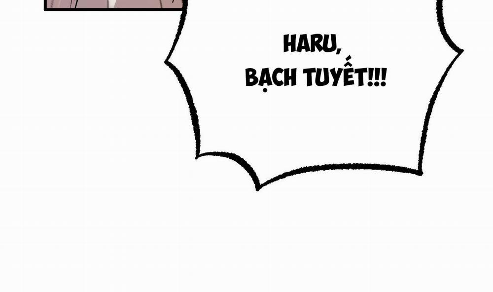 Đàn Thỏ Của Habibi 33 trang 249