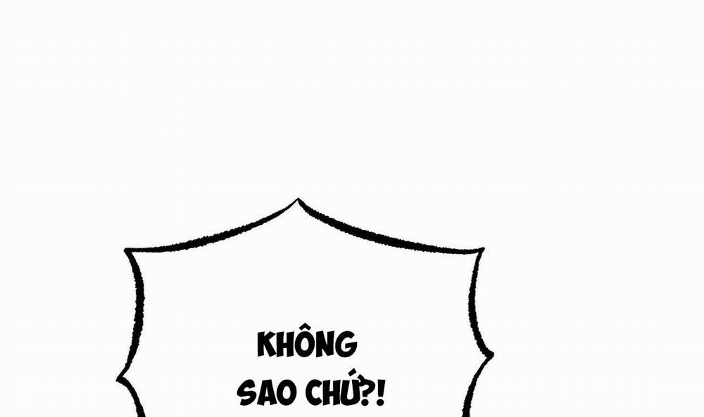 Đàn Thỏ Của Habibi 33 trang 250