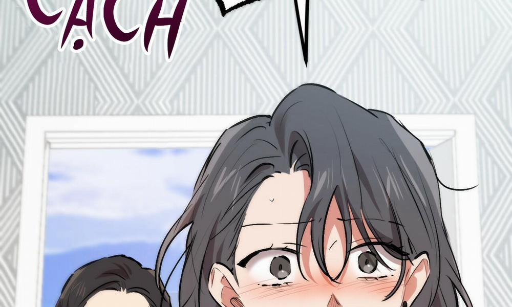 Đàn Thỏ Của Habibi 33 trang 252