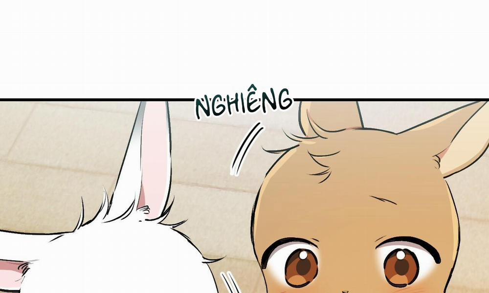 Đàn Thỏ Của Habibi 33 trang 255