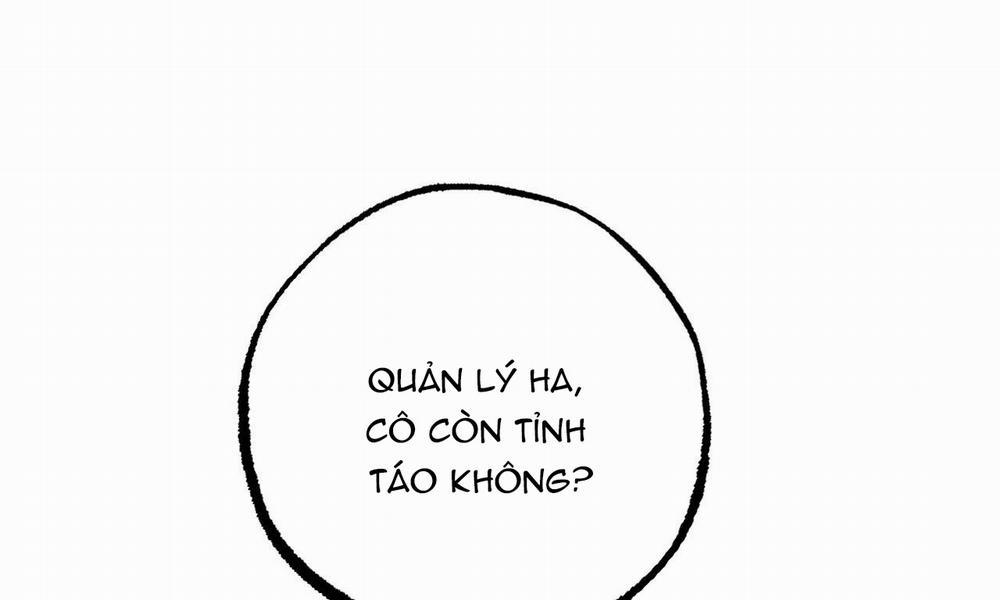 Đàn Thỏ Của Habibi 33 trang 273