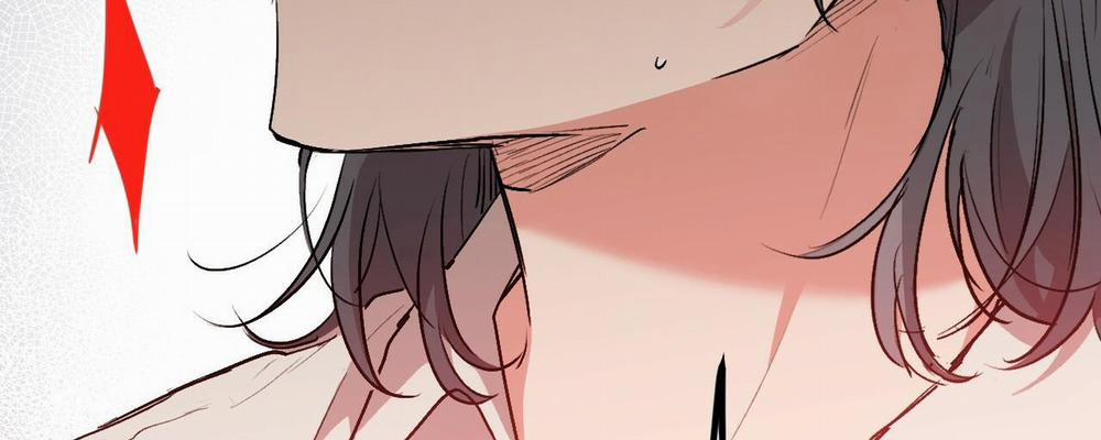 Đàn Thỏ Của Habibi 33 trang 287