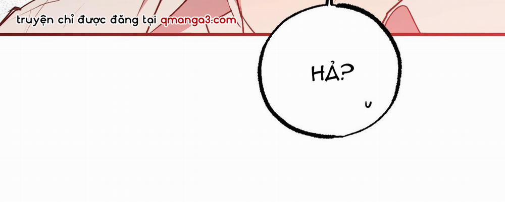 Đàn Thỏ Của Habibi 33 trang 288