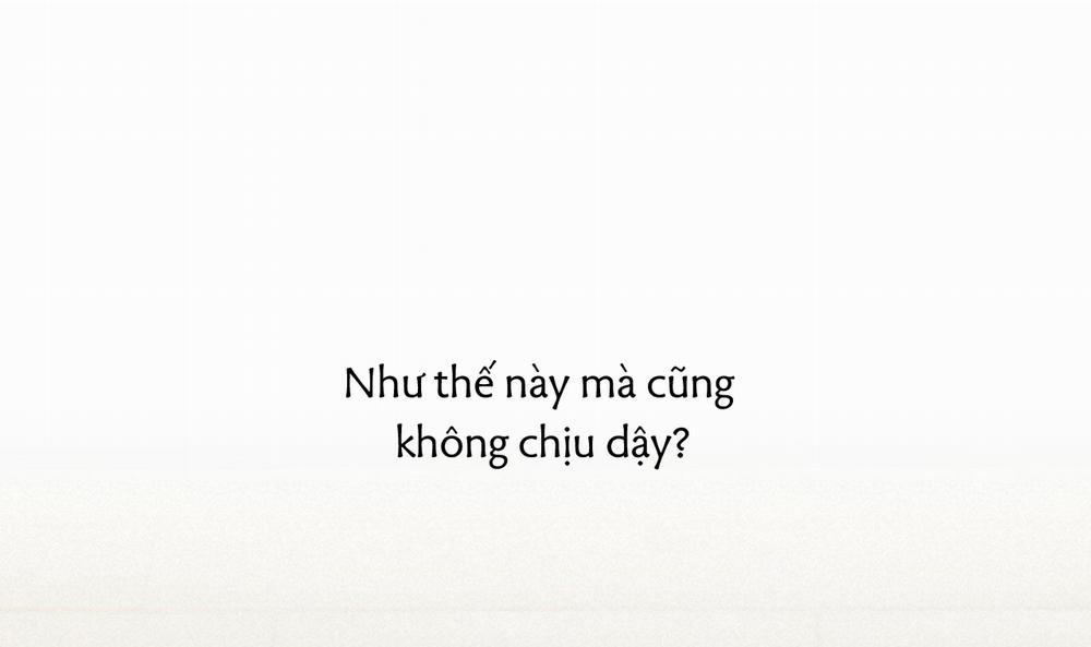 Đàn Thỏ Của Habibi 33 trang 32