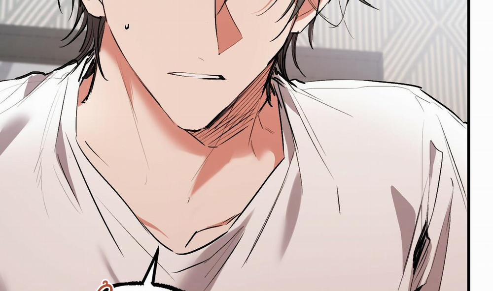 Đàn Thỏ Của Habibi 33 trang 37