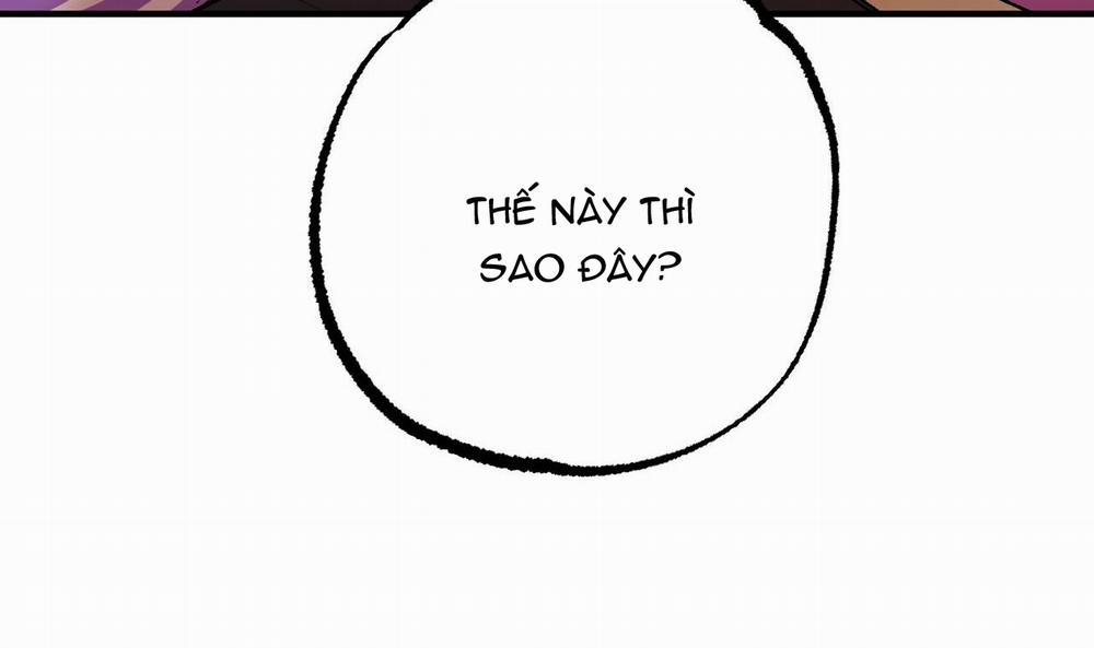 Đàn Thỏ Của Habibi 33 trang 48