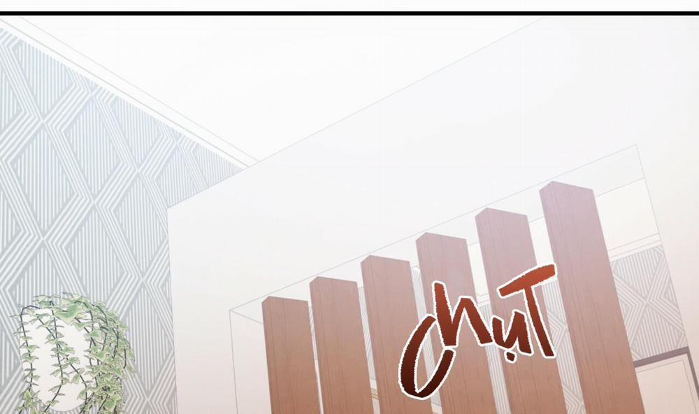 Đàn Thỏ Của Habibi 33 trang 54