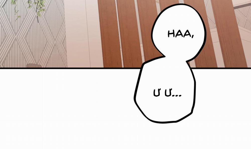 Đàn Thỏ Của Habibi 33 trang 55