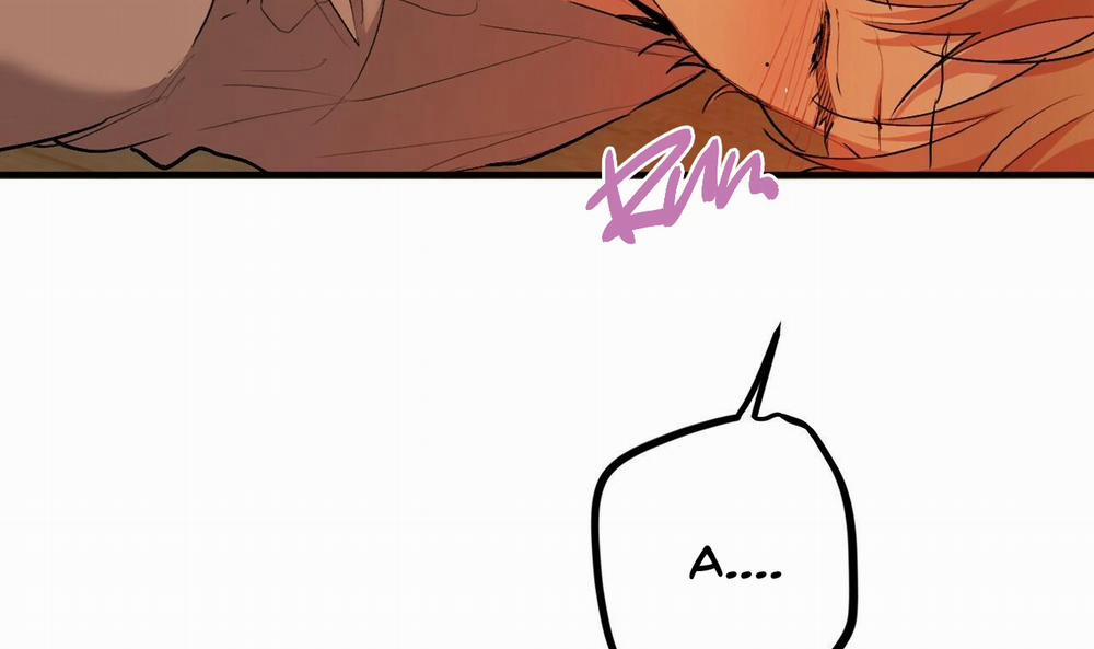 Đàn Thỏ Của Habibi 33 trang 63