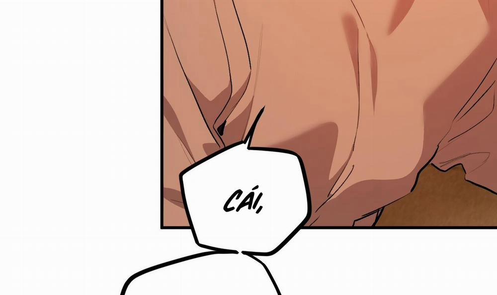 Đàn Thỏ Của Habibi 33 trang 75