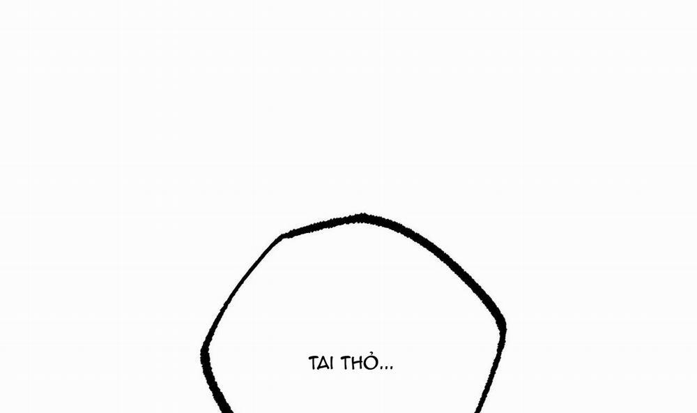 Đàn Thỏ Của Habibi 34 trang 116