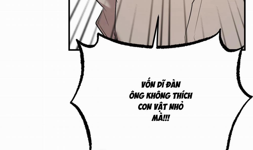 Đàn Thỏ Của Habibi 34 trang 129