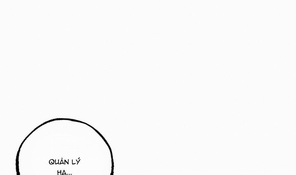 Đàn Thỏ Của Habibi 34 trang 133