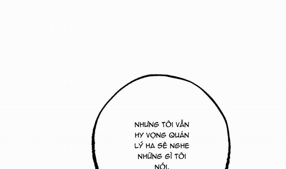 Đàn Thỏ Của Habibi 34 trang 137